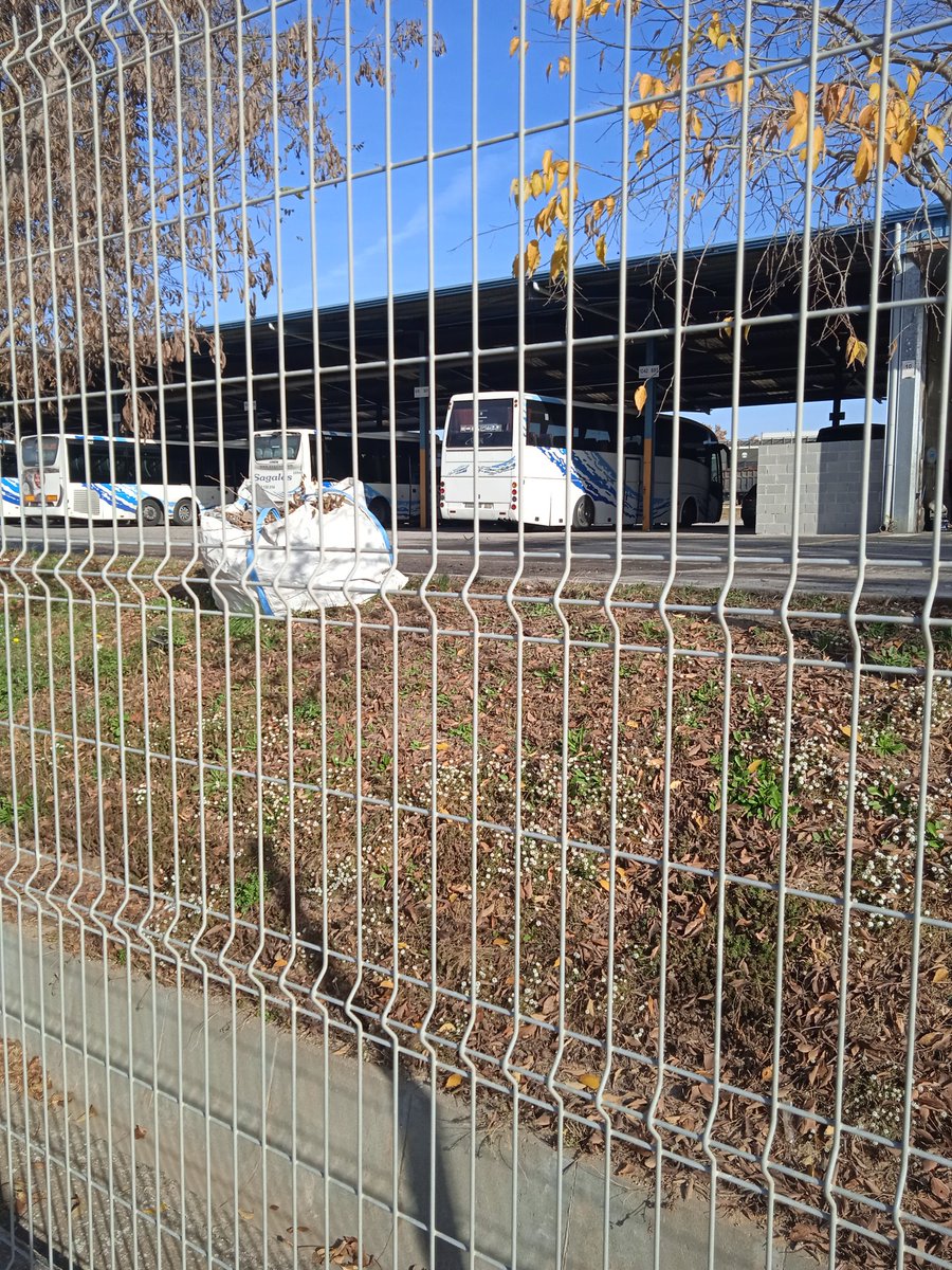 Espero <a href="/sagalesbus/">Sagalés</a> que lo guarden este autocar sunsudegui sideral para su colecion de buses antiguos