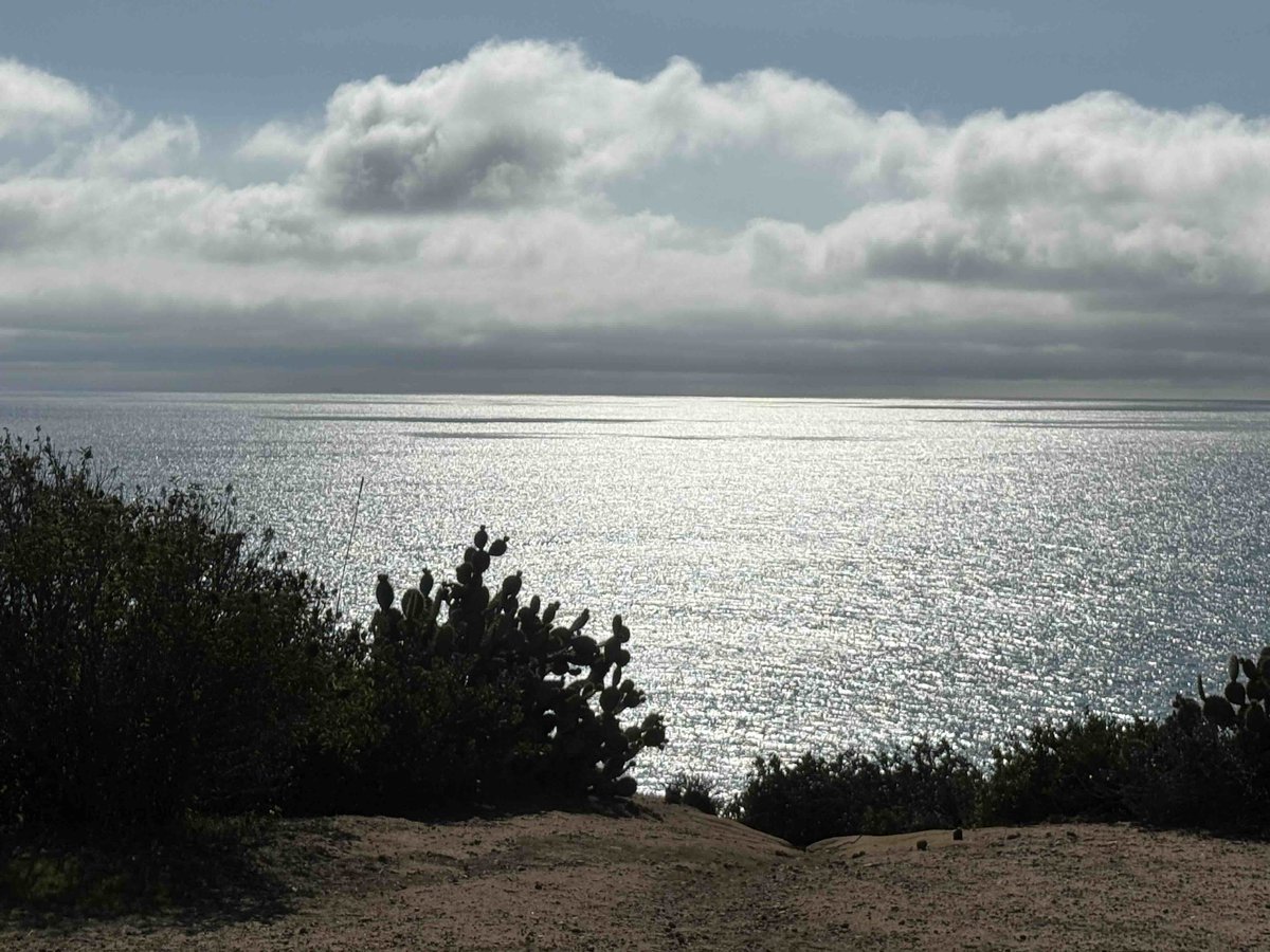 4_Malibu's tweet photo. New: Our full Malibu Road Community Guide is live 🌴
Beach access • lifestyle • architecture • local favorites
Read here 👉 https://t.co/ujzxlXLwJJ

#MalibuRoad #Malibu #MalibuRealEstate #4Malibu https://t.co/bf2ZcQA2Bb