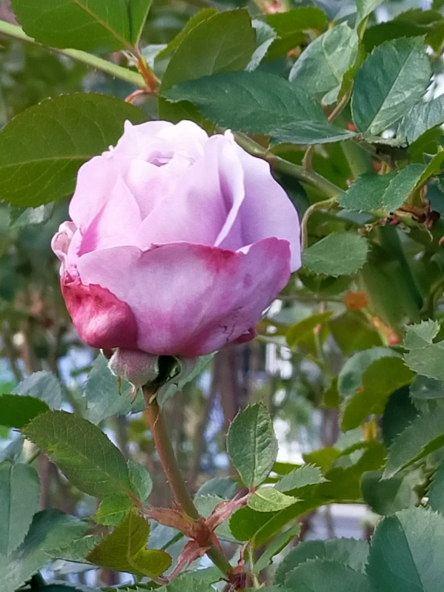 可南子みなみ (@D0eYebUZseXbSB6) / Posts / X