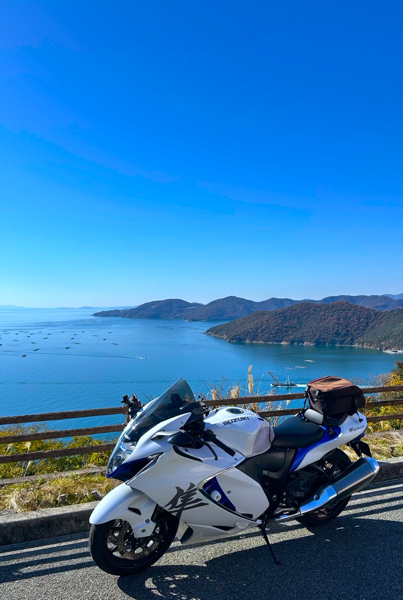 とらちゃんページ とらちゃん (@torachan675r1) / Posts / X