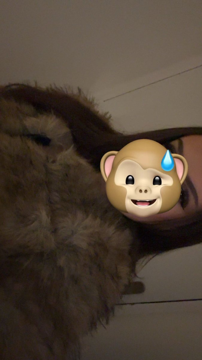 toujours en singe