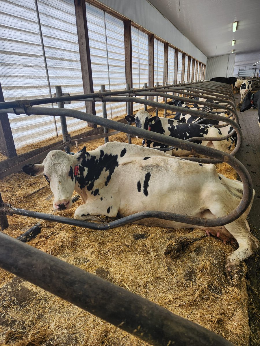 Promat Inc. tweet media