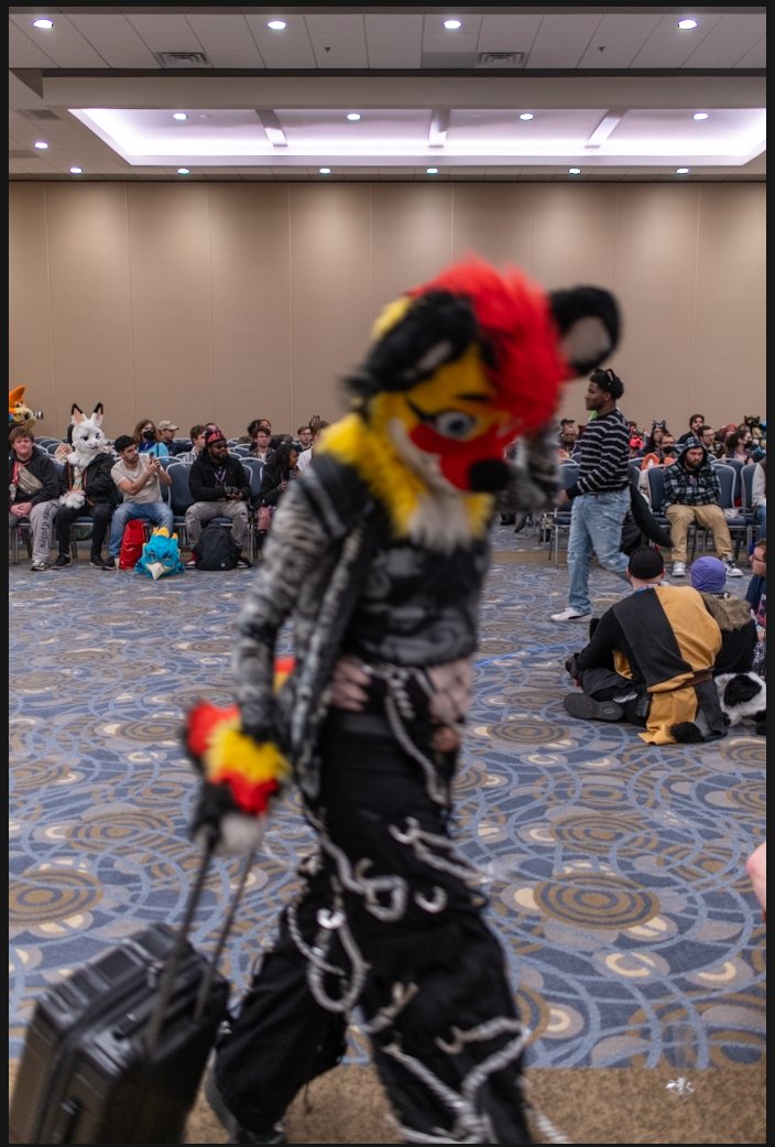 Science_Woof's tweet image. Perfect(ly out of focus)

I fumbled my fashion meet photos so hard Dx