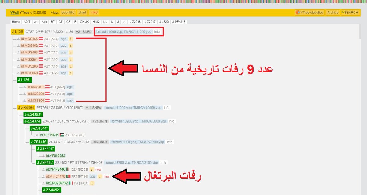 StudiesHuman's tweet image. الوايفل ترفع رفات البرتغال PT_24170 والتي كانت سابقًا مصنفة ضمن السلالة J1 و حددت فرعها تحت  J-ZS4416  و هذا  التحور لا يجتمع مع L222 الا في السلف J-L136 الذي  يقدر عمره نشأته  14 الف عام كما أن هذا الفرع له تواجود قديم ومختلط في أوروبا و عليه عدد 9 رفات تاريخية من النمسا.