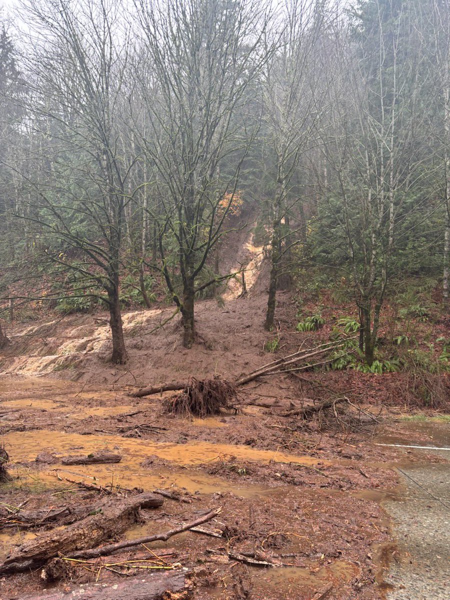 wspd2pio's tweet image. Here is the scene.