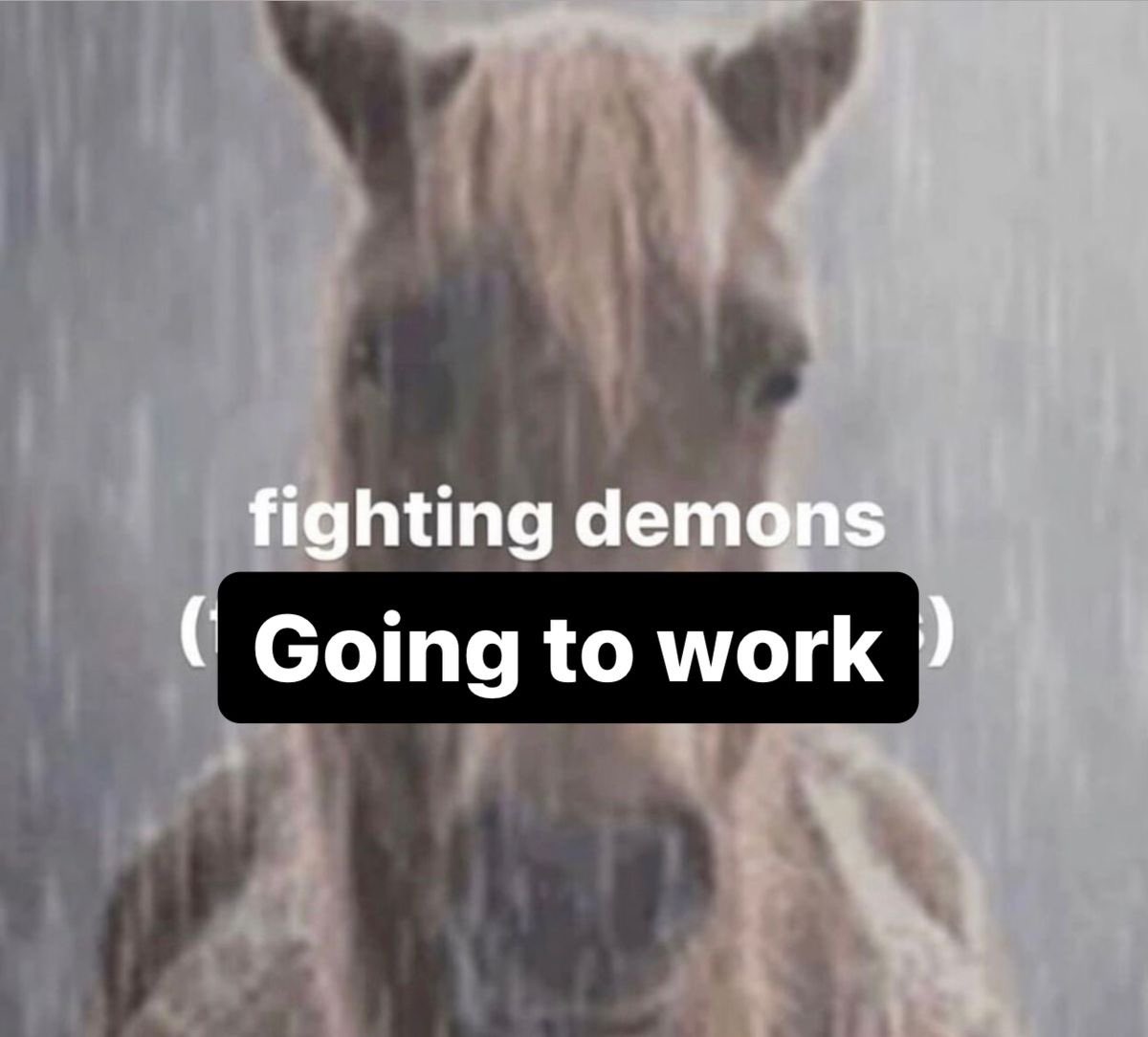 astralbaes's tweet image. 