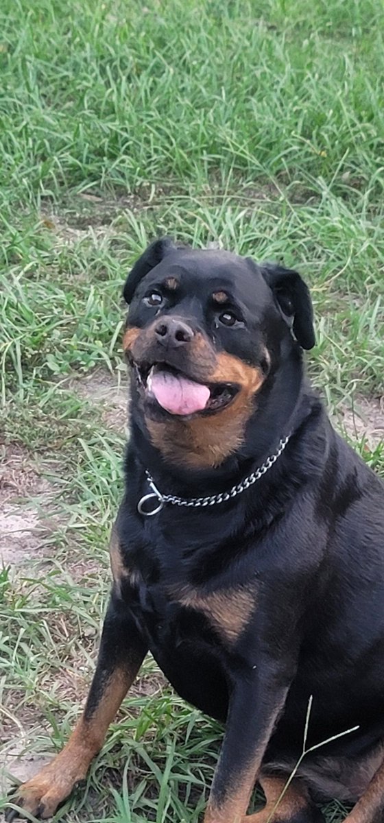 AEON (@imaeon) on Twitter photo 