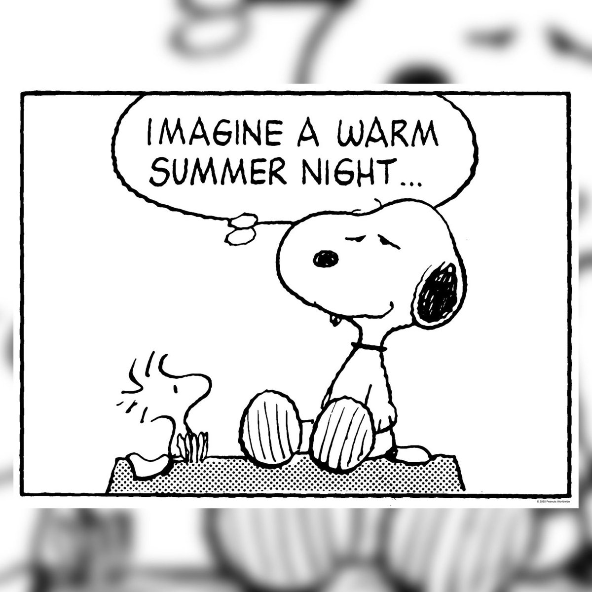 Bottleneck Gallery tweet media