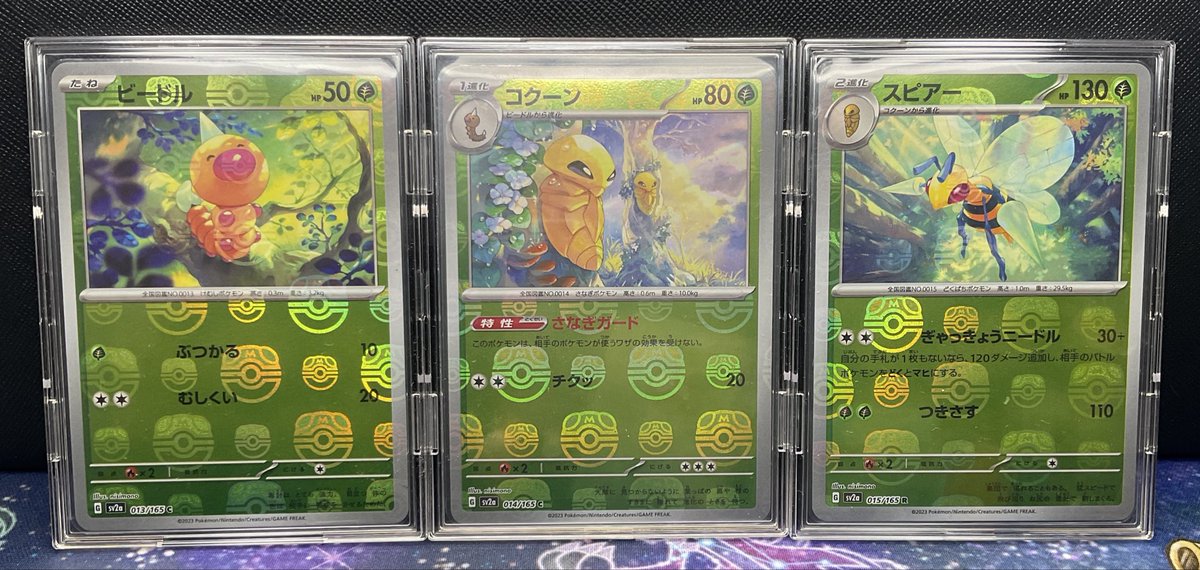 151マスボミラーの紹介 36 今日はビードル→コクーン→スピアーの進化