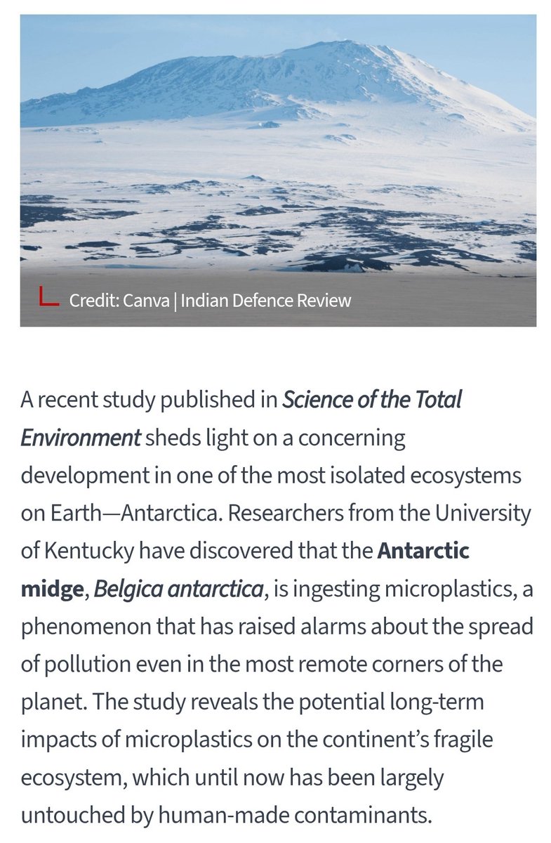 BREAKING:   Antarctica’s Last Native Insect Faces Extinction From Ingesting Microplastics