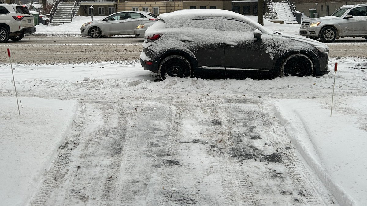 somecanuckchick 🍁@somecanuckchick@mastodon.world tweet media