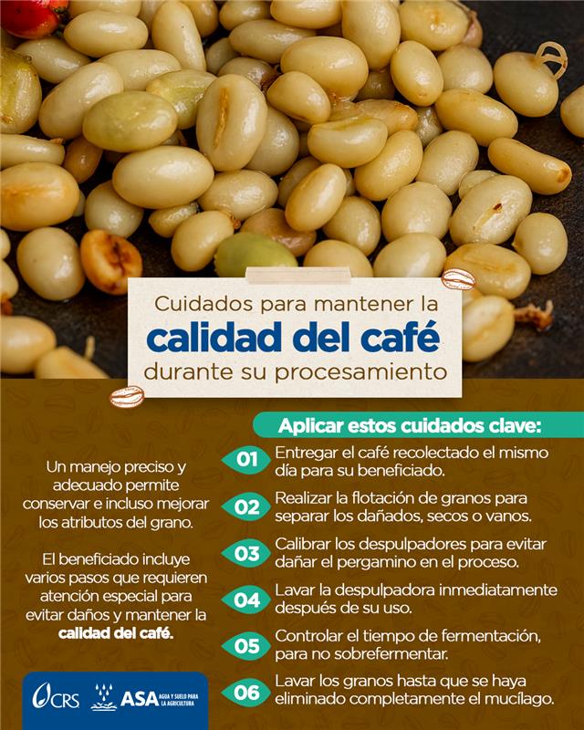 🌱☕ En el campo lo sabemos: el café de calidad se cuida desde el beneficiado.
👨‍🌾 Entregarlo el mismo día, separar bien, mantener equipos limpios y controlar fermentación asegura un grano de excelencia 💧
📌 El buen sabor se construye paso a paso.
#CaféDeCalidad #SaborQueInspira