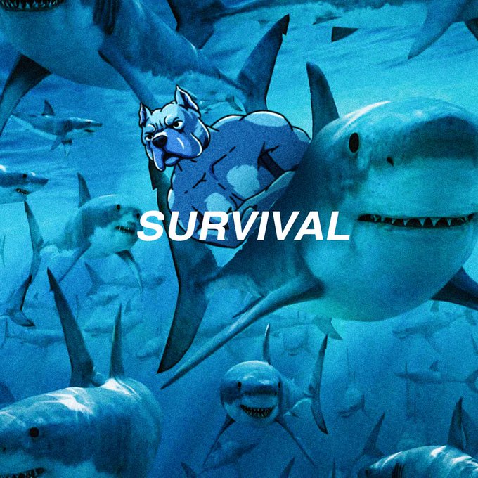 The decentralized wild west thrives on volatility

Crypto bros know the best, gotta have that dog in you  

Strapped in for 69 trillion different scenarios

I got that $DOGINME

So should you