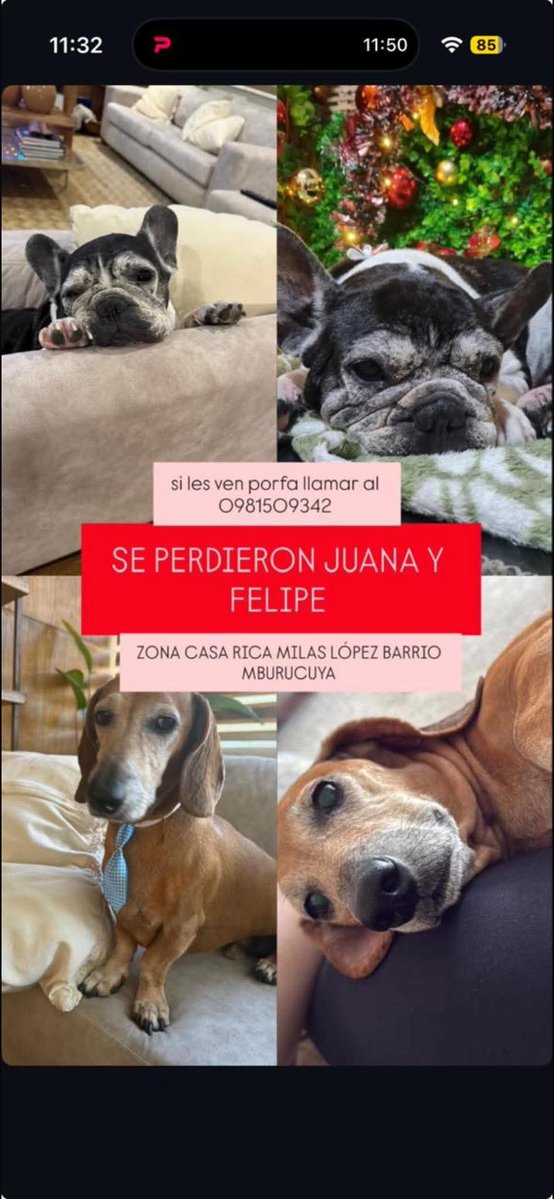 REPTZ (@ruthdemoab) on Twitter photo 