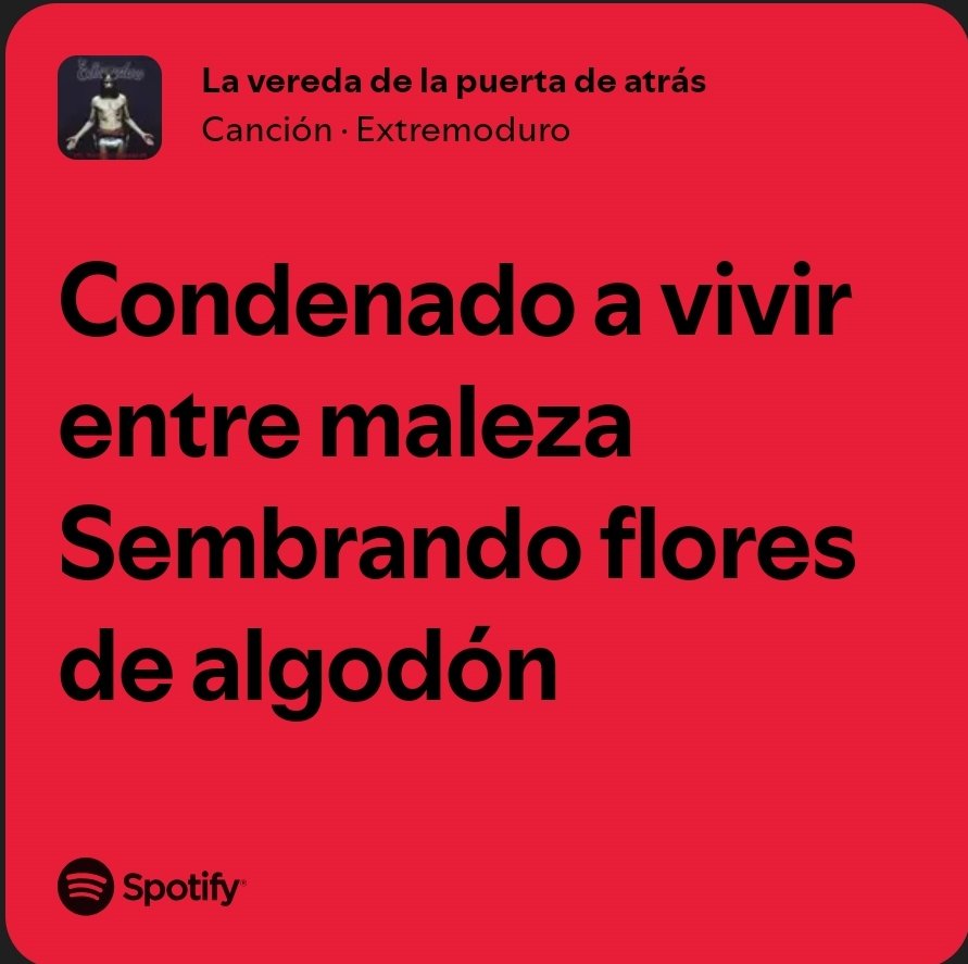 Lucía🤠 (@luciatelll) on Twitter photo 