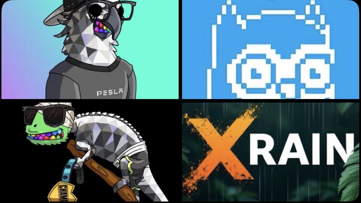 XRAIN / XRPL RAINFOREST tweet media