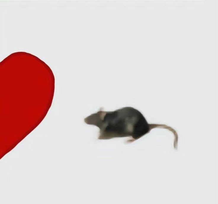 d_daai's tweet photo. I'm back ⋆˚꩜｡

ִ⁺˚⋆｡°✩°｡⋆˚⁺𐔌՞ ܸ.ˬ.ܸ՞𐦯⁺˚⋆｡°✩°｡⋆˚⁺

✦ 25 yo
✦ She/Her
Moots ♡ + ↻?

#nsfw #nsfwacc #nsfwtwtًً https://t.co/3g1c3dZiuR
