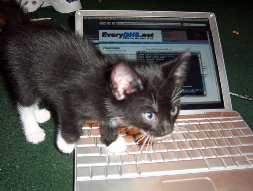 OldInternetFeel's tweet photo. 2004 https://t.co/qA4UxcAOeS
