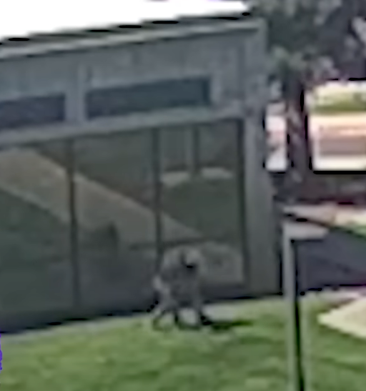 Magilla Gorilla 39 tweet media