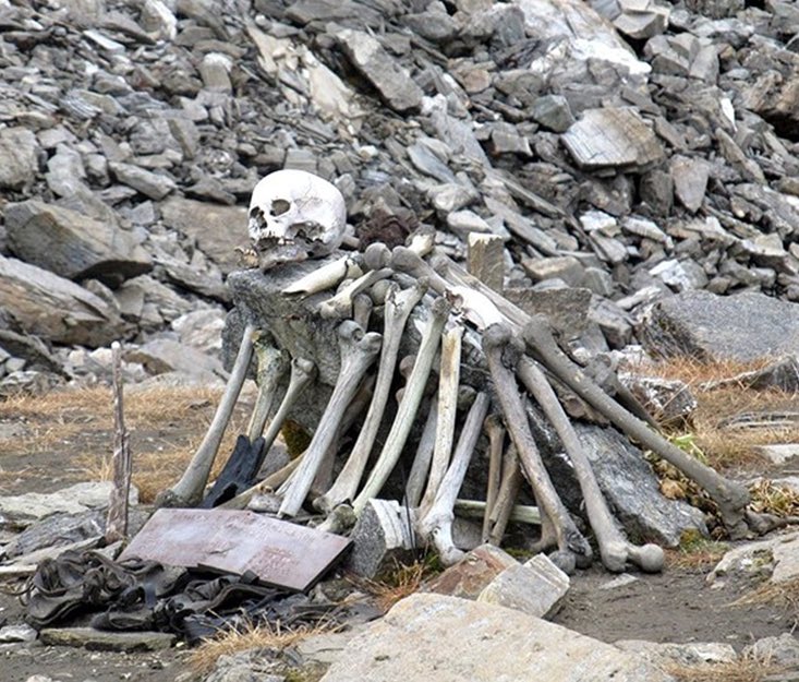 Morbid Facts tweet media