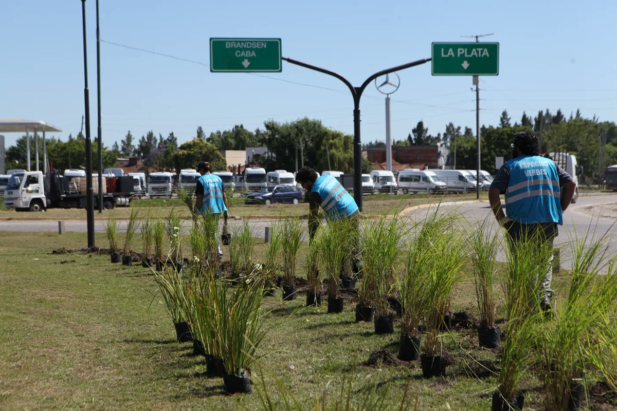 🌳 ¡Nueva cara para la avenida 44! 

✅ <a href="/LaPlataMLP/">Municipalidad de La Plata</a> renueva el paisaje del ingreso la ciudad 

🌸 Se están plantando lapachos rosados y nuevas plantas herbáceas en la rambla central, desde calle 131 hasta el distribuidor de Etcheverry

📎 bit.ly/4q86r3H