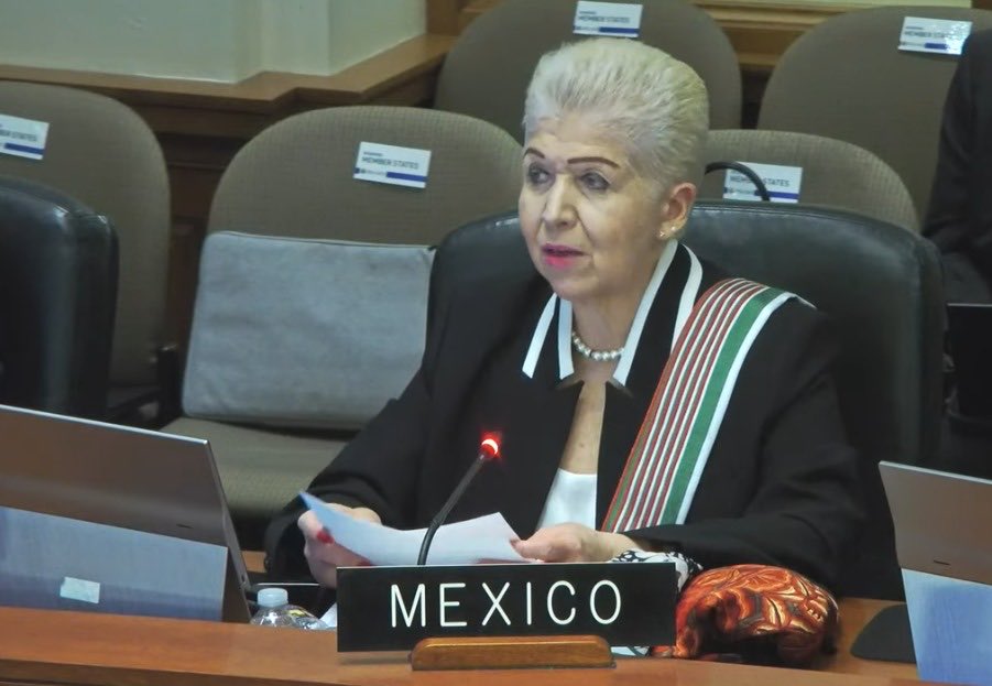 En <a href="/CP_OEA/">Consejo Permanente - OEA / OAS - Permanent Council</a>, México agradeció la presentación del informe del @IIN_OEA sobre explotación sexual de niños, niñas y adolescentes en medios digitales; resaltó su compromiso con espacios digitales seguros para infancias y adolecencias, y refrendó su apoyo a la gran labor del Instituto