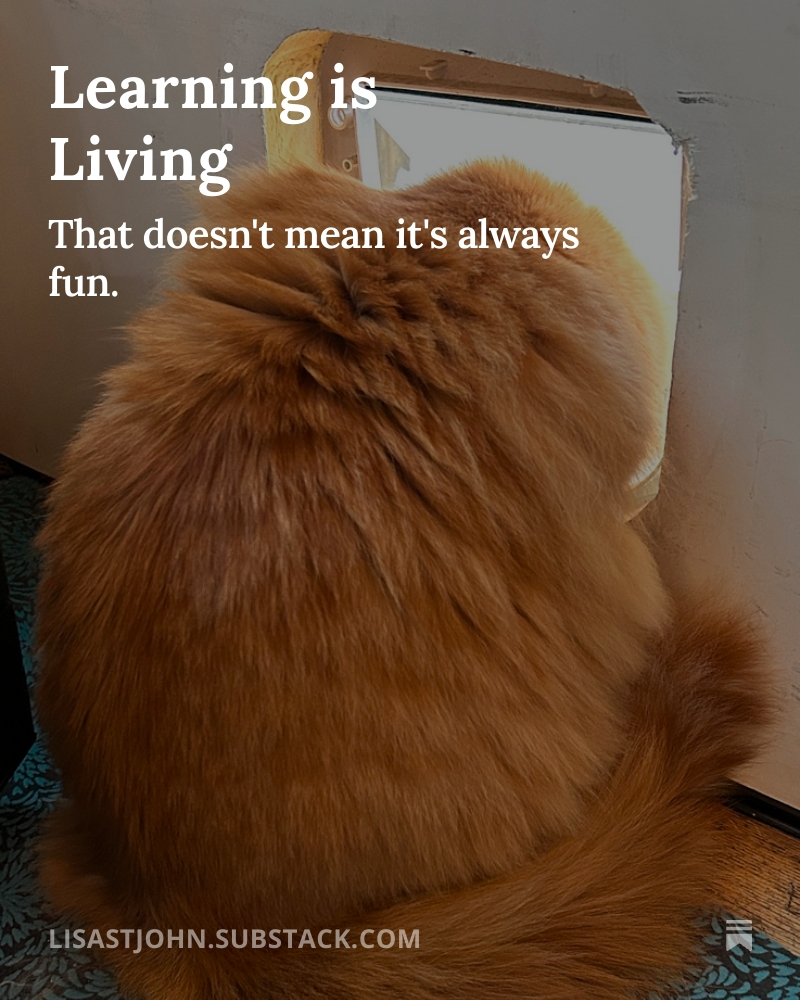 Lisa St John tweet media