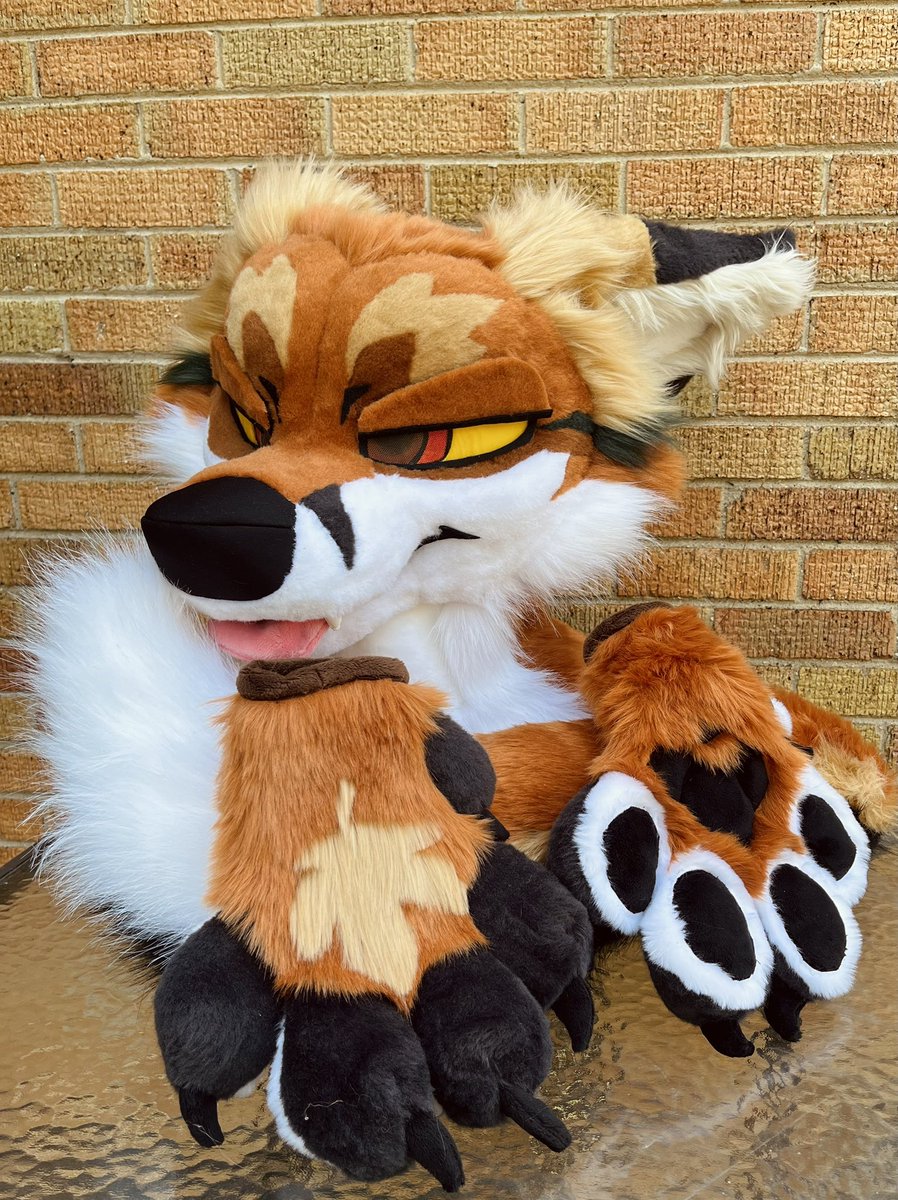 Sunny! 🐋🔜FWA tweet media