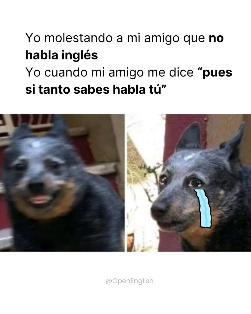 openenglish tweet media