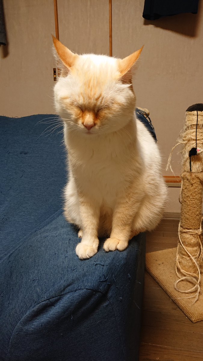 さつき2号 (@satsuki2go) / Posts / X