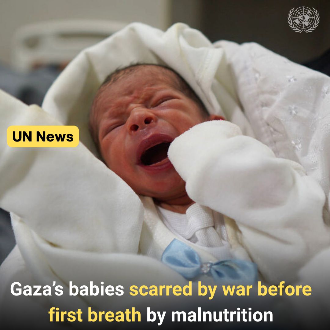 UNGeneva's tweet photo. In #Gaza, newborns are arriving underweight, their lives threatened by war and malnutrition.

@UN and partners are doing their best to deliver aid and save lives, but more needs to be done: full ceasefire, opening of all crossings, unhindered access.

https://t.co/EsqdAOr3rt https://t.co/dbTENT4uUP