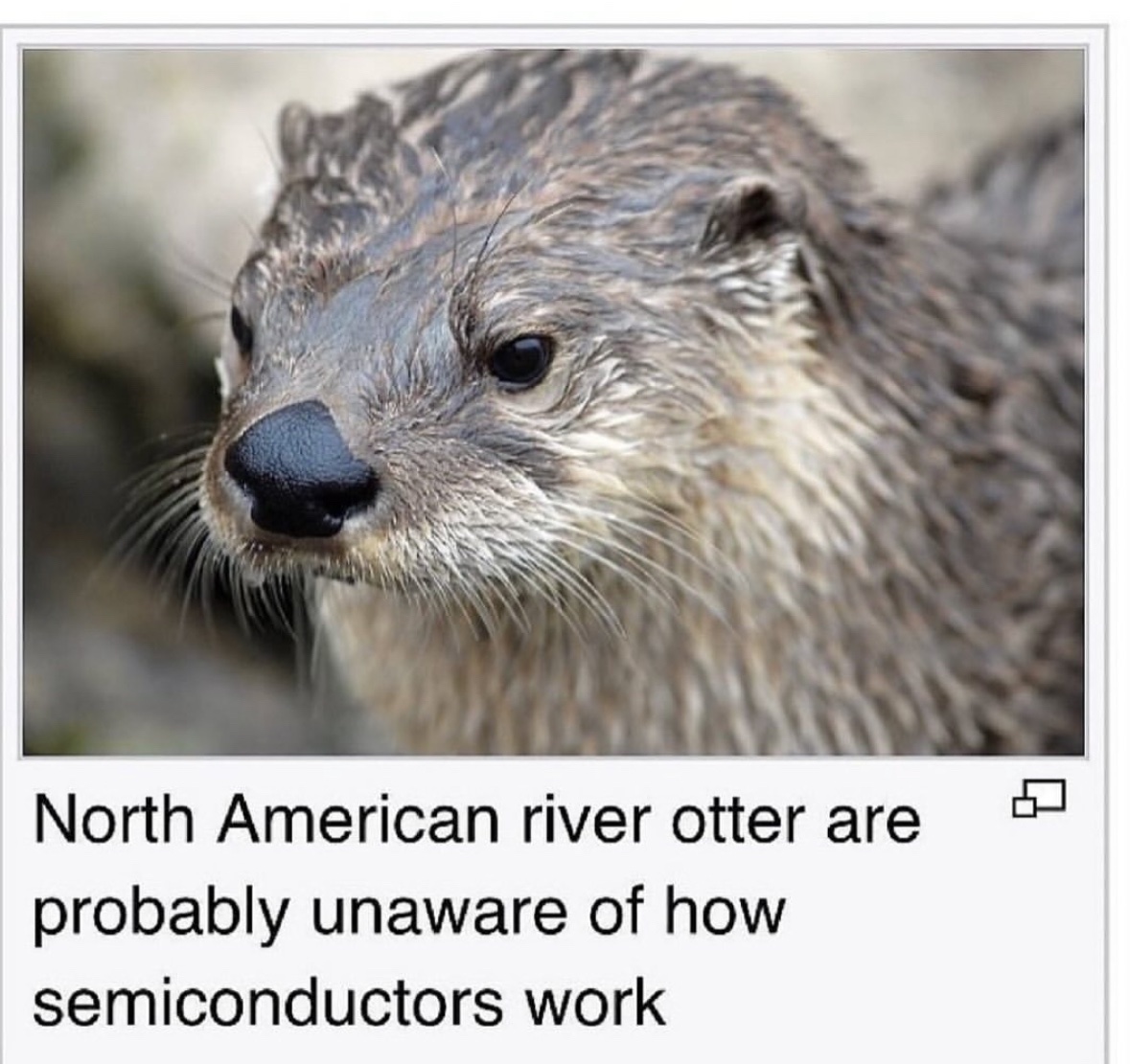 Respectful Memes (@respectfulmemes) on Twitter photo 