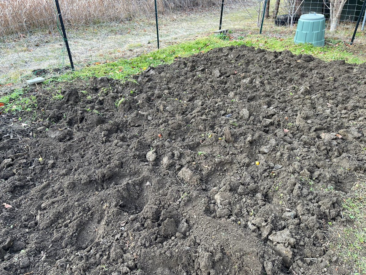 ホテル裏の畑スペースを、冬に向けて寒起こししました^^
今年もたくさん野菜を育ててくれた畑ですが、冬はお休み期間に入ります。
しっかり休んで、来年もまた元気に実ってほしいところです。

＃岩手　＃陸前高田