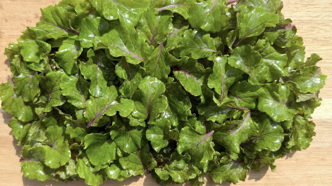 Eastern Broccoli tweet media