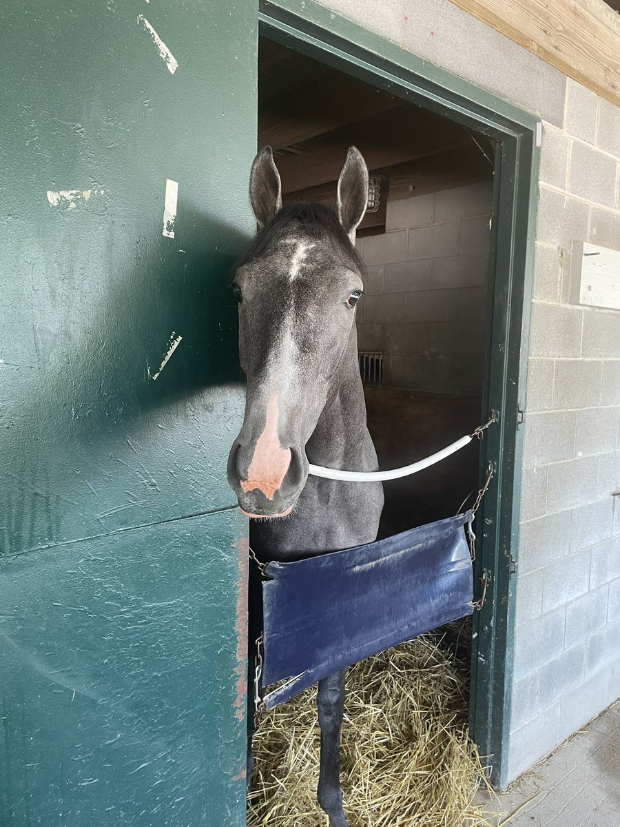 Nate Metz tweet media