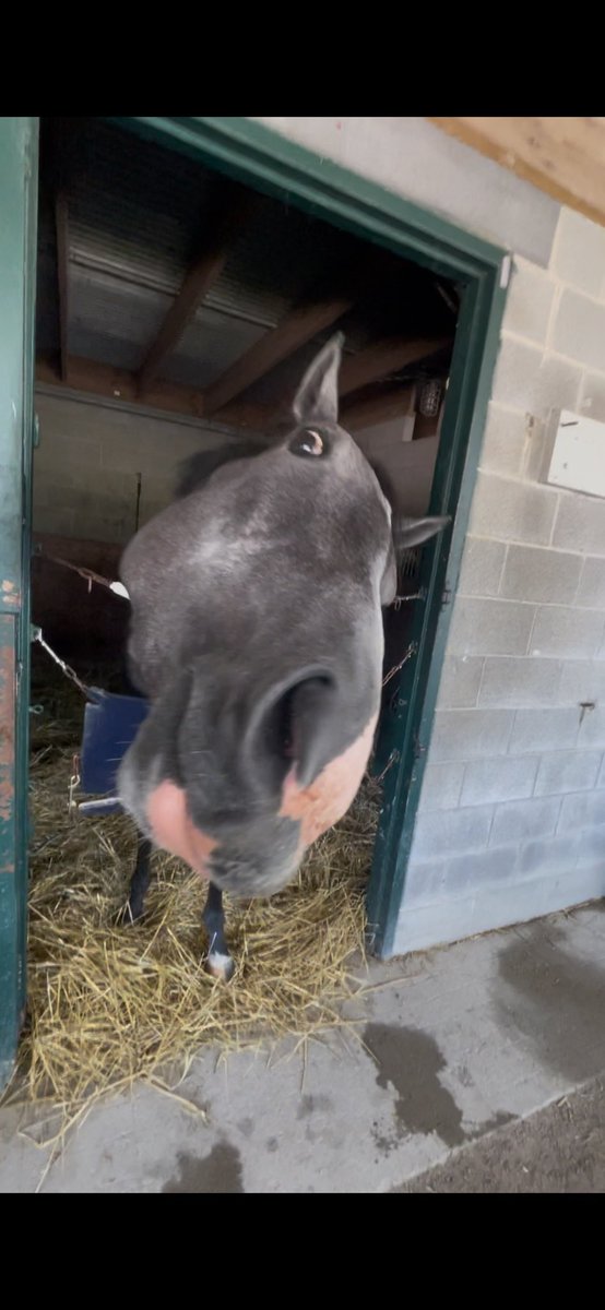 Nate Metz tweet media