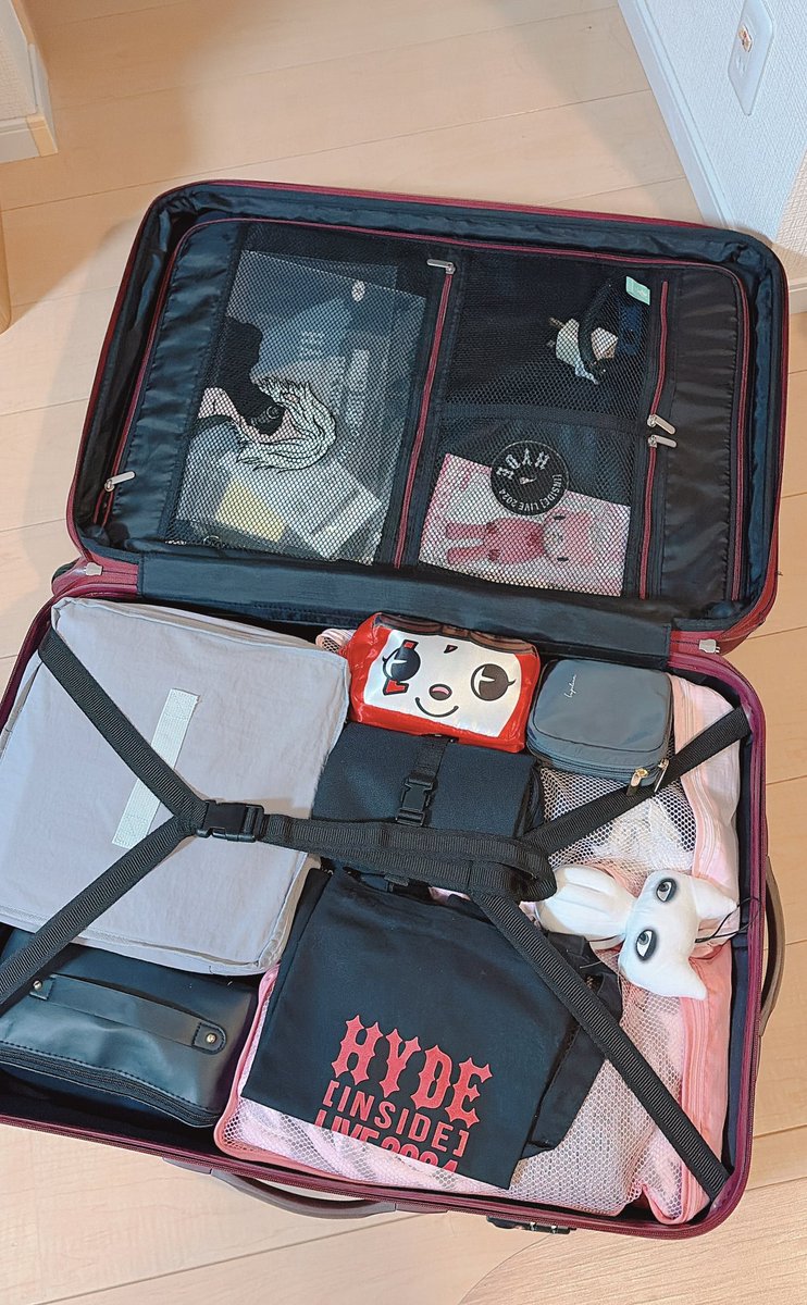 何度も確認したつもりだけど 忘れ物してそうで怖い😱 HYDEさん