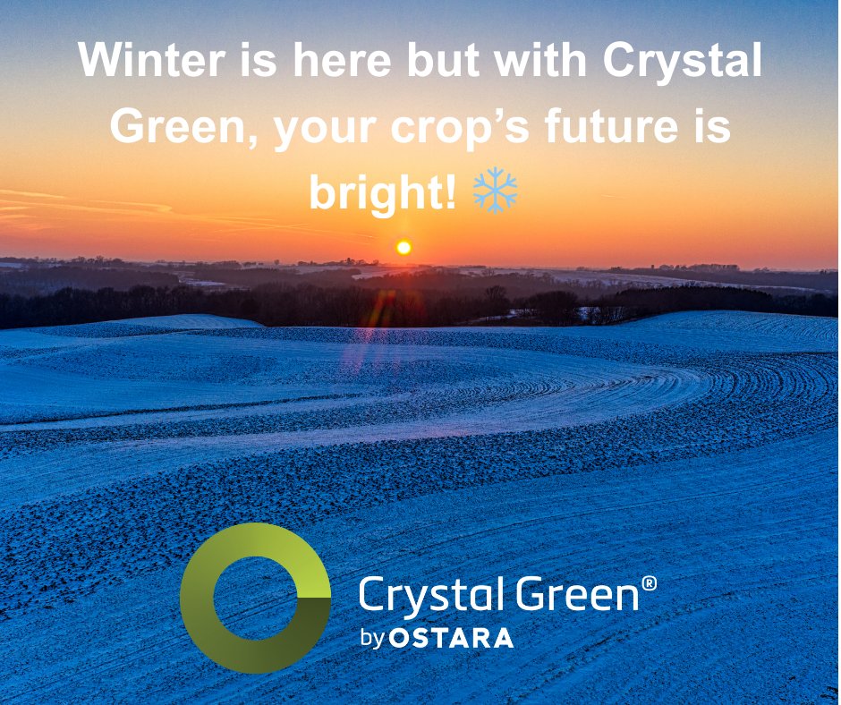 CGP2XbyOstara's tweet photo. Winter's here and your crop’s future is bright! ❄️ Crystal Green: The smart P fertilizer with nutrients that stay plant available, no matter when or how you apply. #phosphateperfected #95%plantavailablenutrition #2XavailableP #Ostara https://t.co/o0jcSTToYi