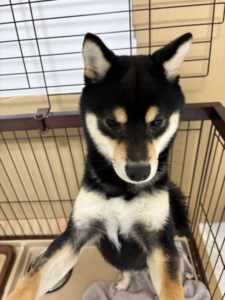 おはようございます
今朝は遅めの朝んぽでした