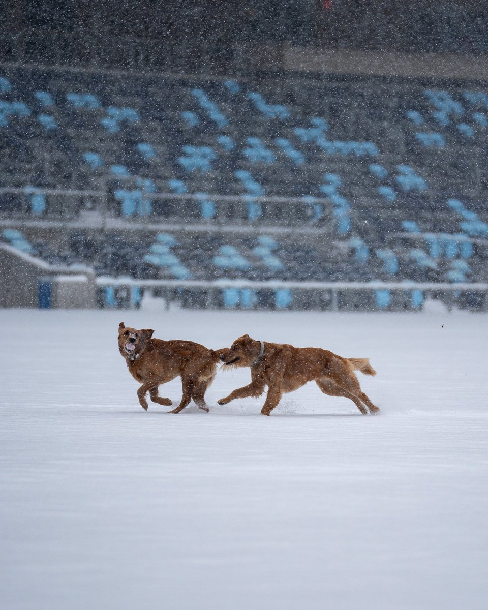 Allianz Field tweet media