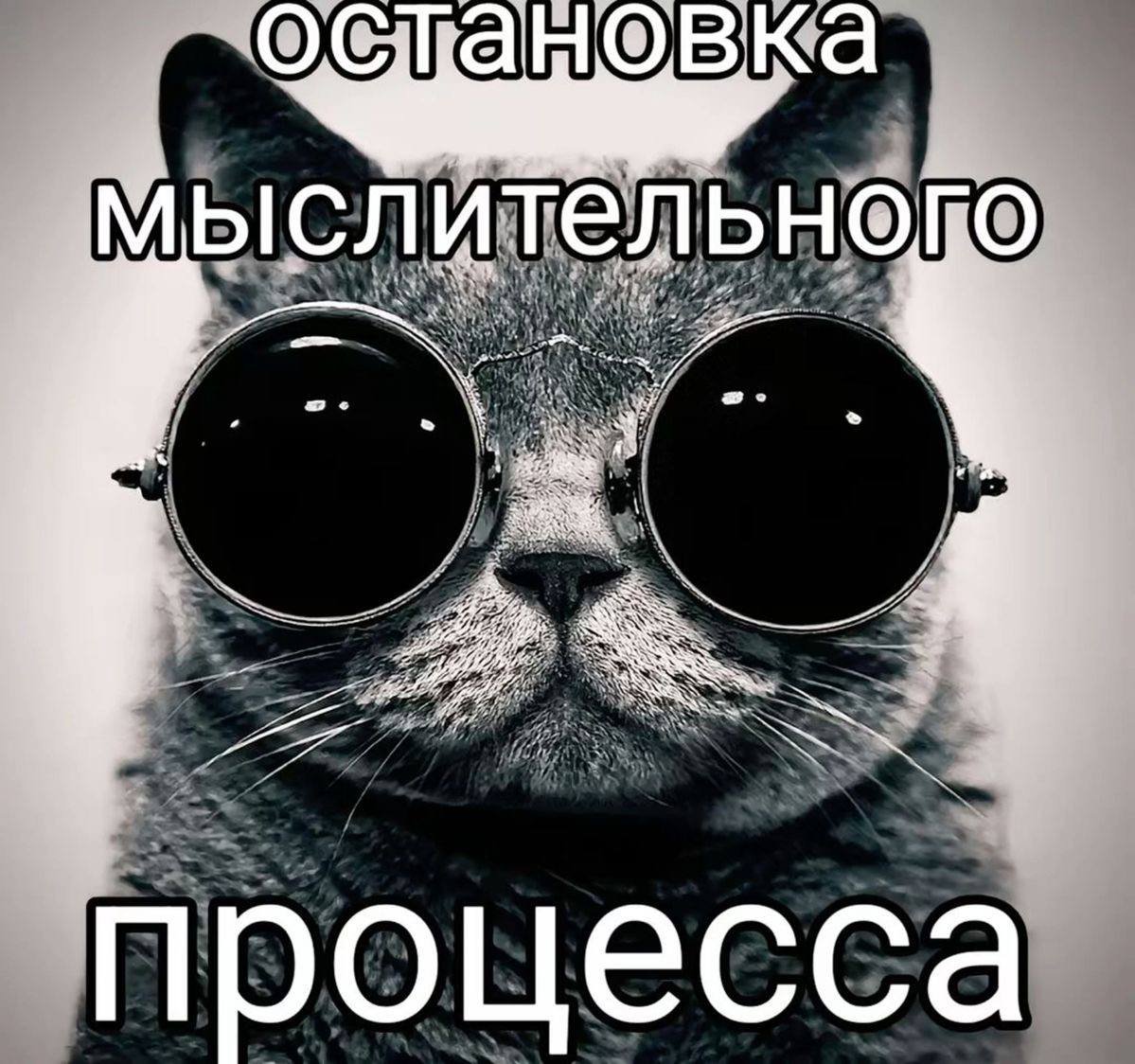 ПриVет, я коZа tweet media