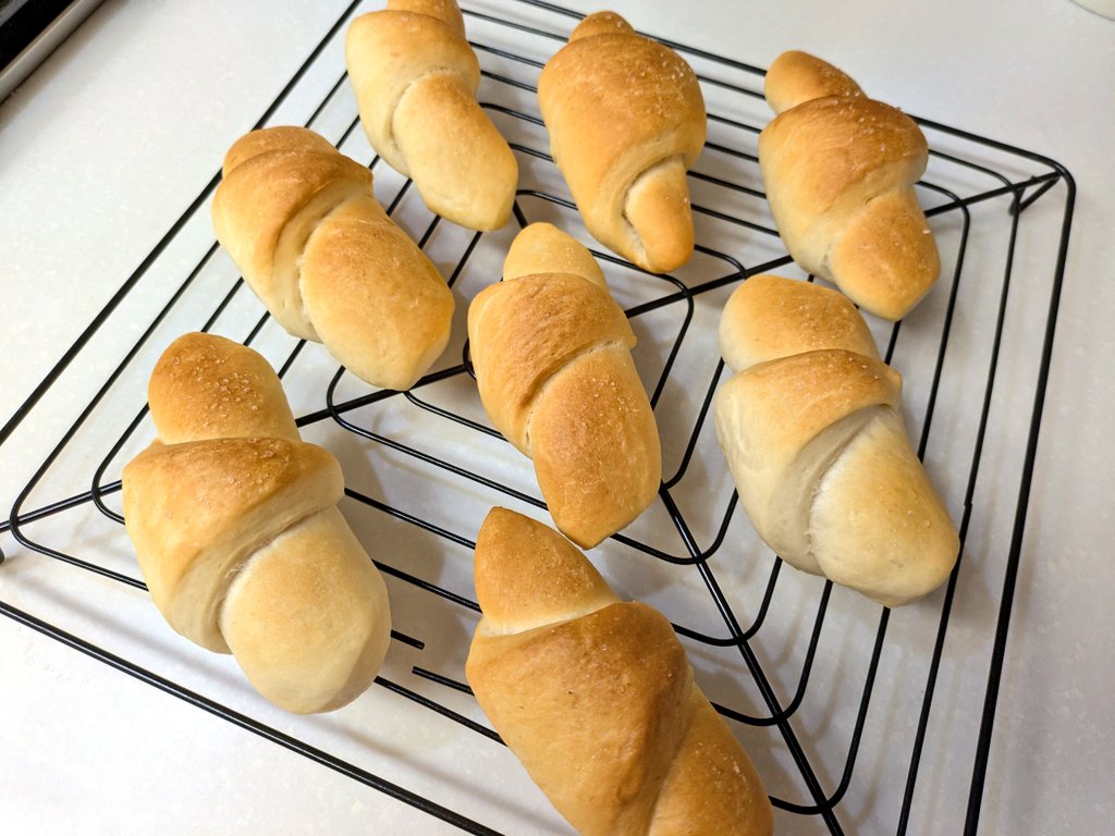 くまこ (@qWk9jEyl7SWpUrT) / Posts / X