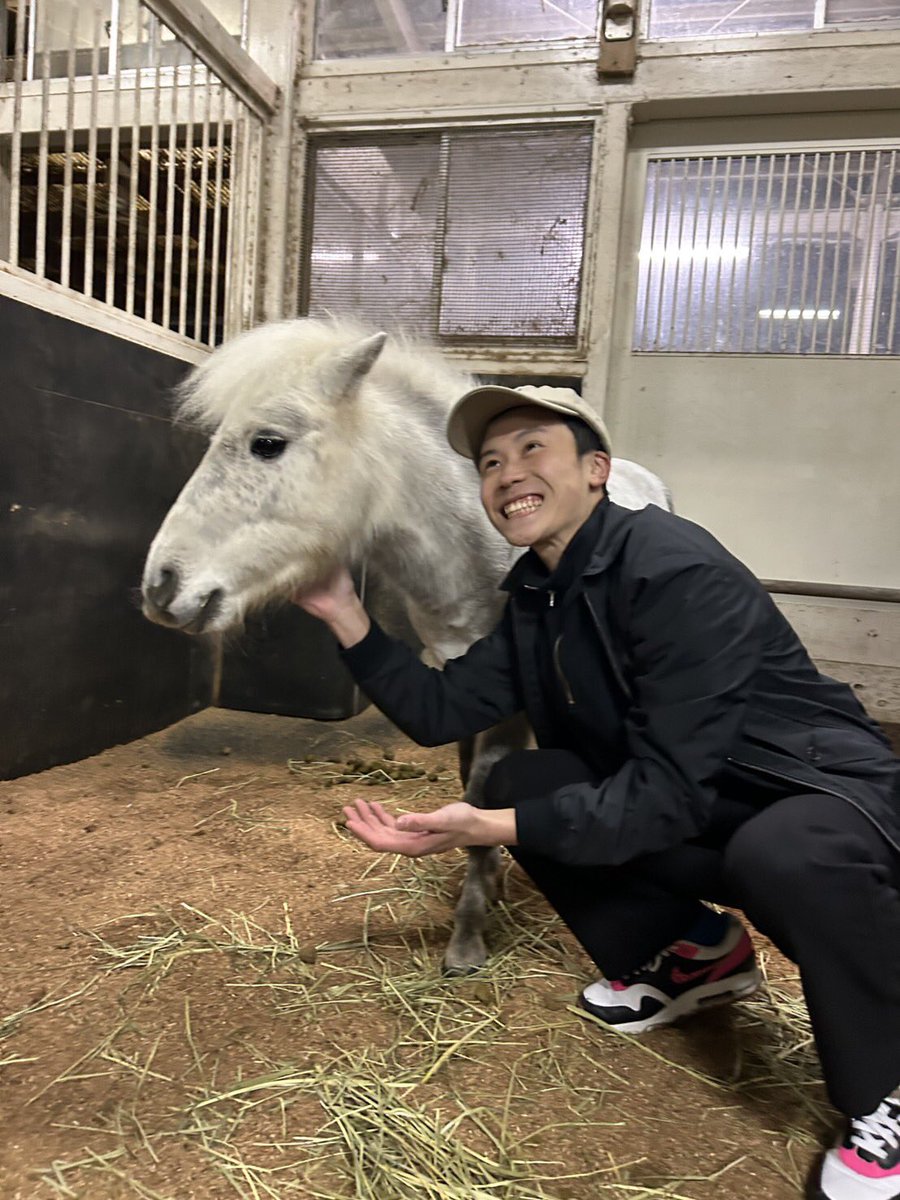 ✨「誘導馬の日常」特別版！遠藤汰月騎手の日常②✨ ダイフク🐴と