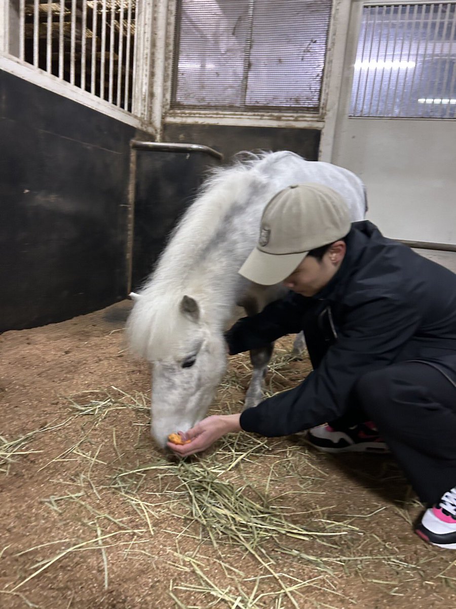 ファイター南井とお手馬4騎　報道写真集　限定保存版　希少 競馬ブックネットSHOP / カラープリント(アルミ枠付き)