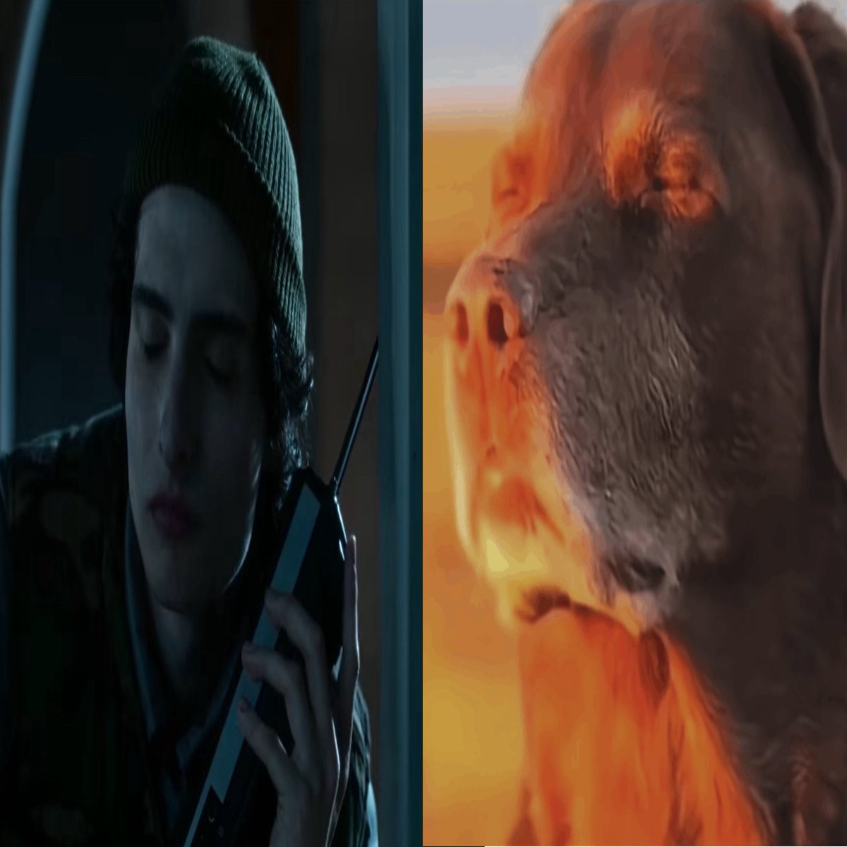 saturcode's tweet image. they trying to gatekeep THE DAVID BOWIE from gay people