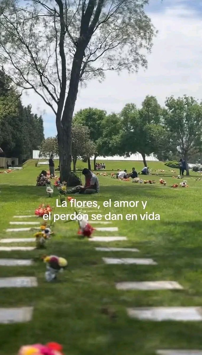 bauldefrases (@suspirxsalaire) on Twitter photo 