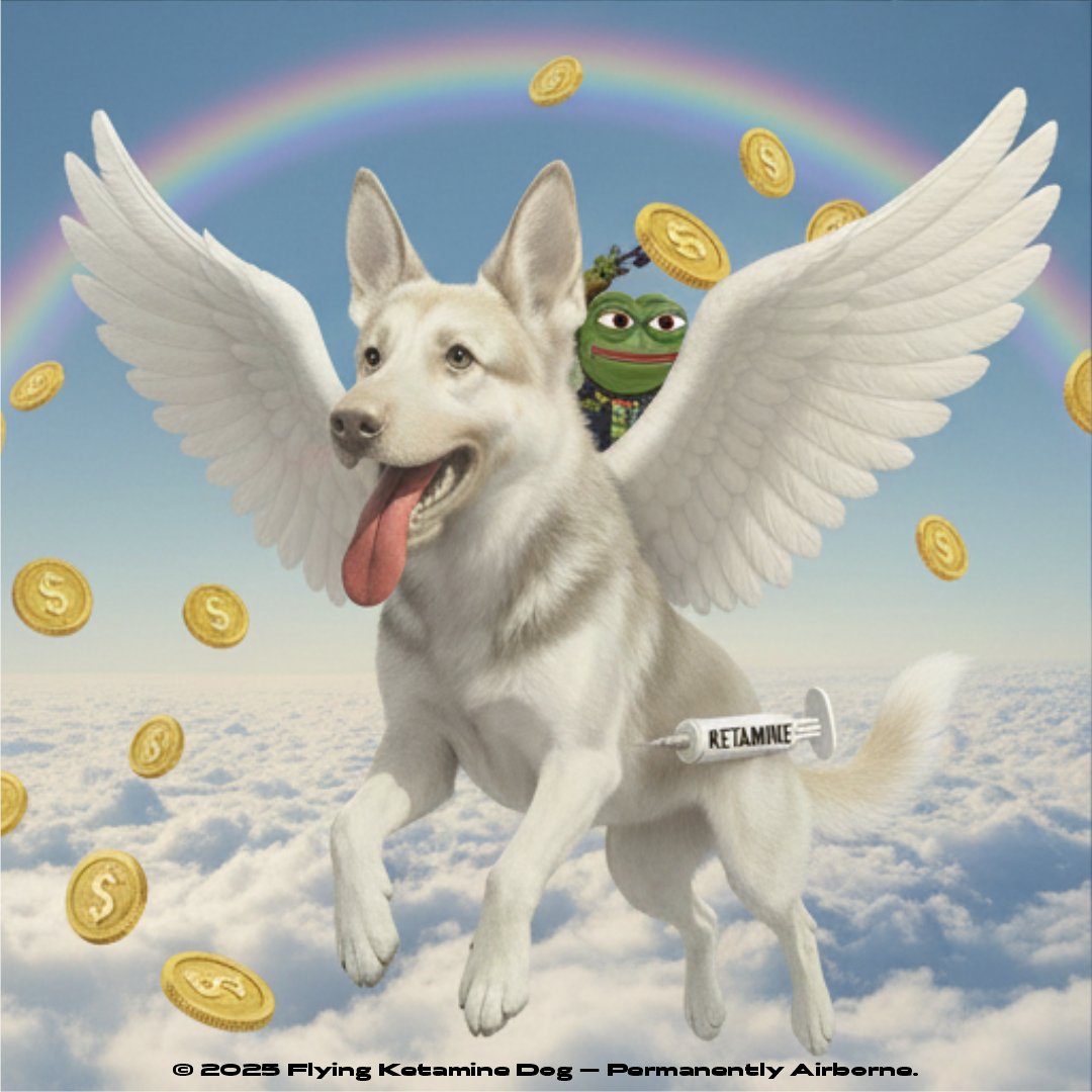Flying Ketamine Dog tweet media