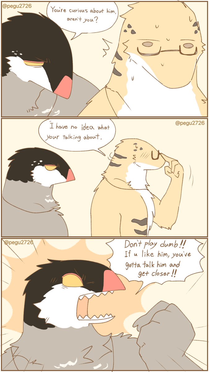 shiba🦈 (@siba_protogen) / Posts and Replies / X