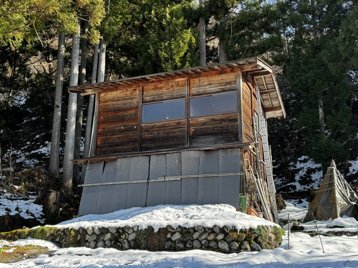 ニジマス(˙˘˙ ミэ)Эページ ニジマス(2010.04.03) - WEB魚図鑑