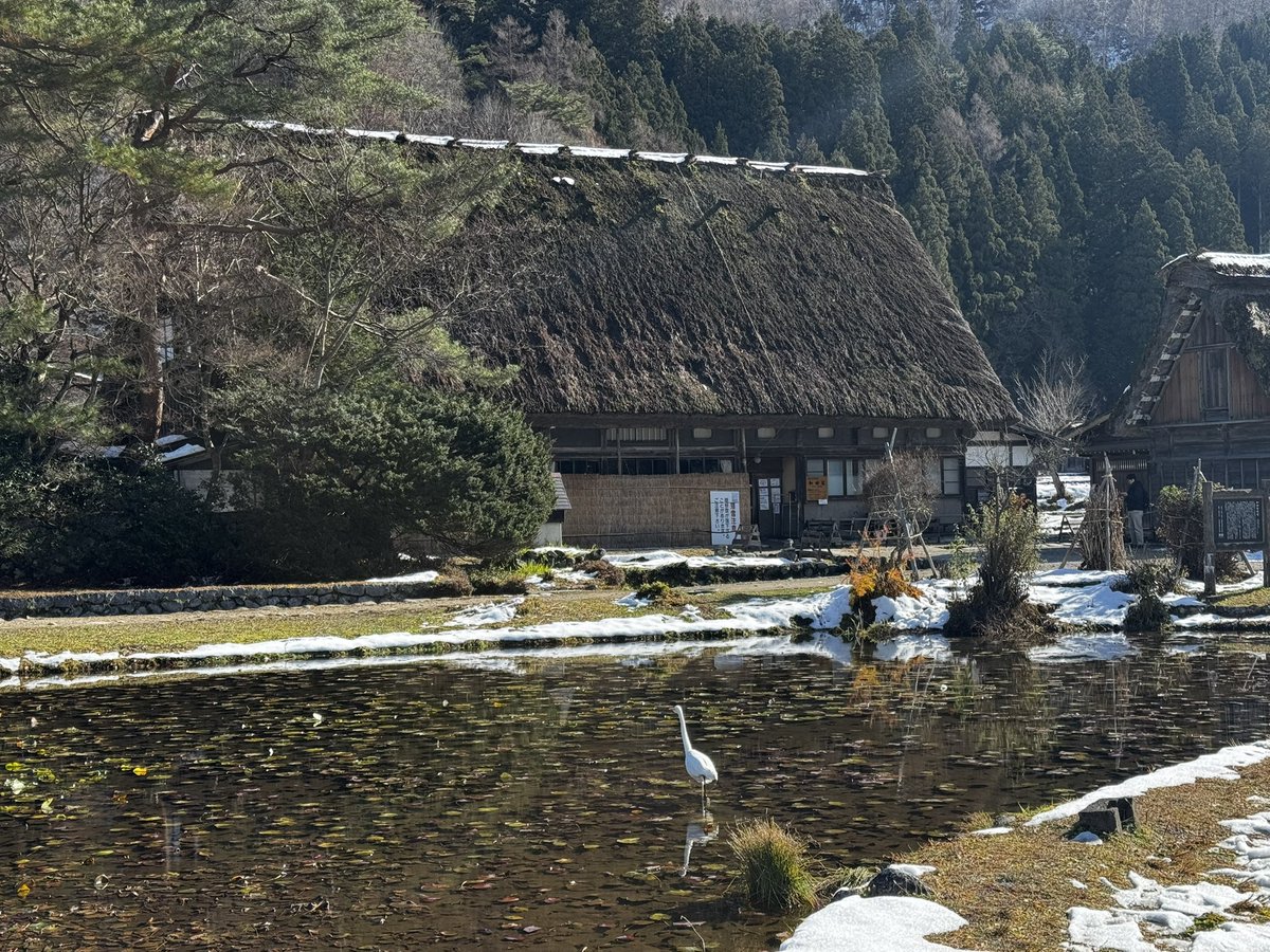 ニジマス(˙˘˙ ミэ)Эページ トリックスター / Ninja400 (23-24) 政府認証フルエキゾーストマフラー